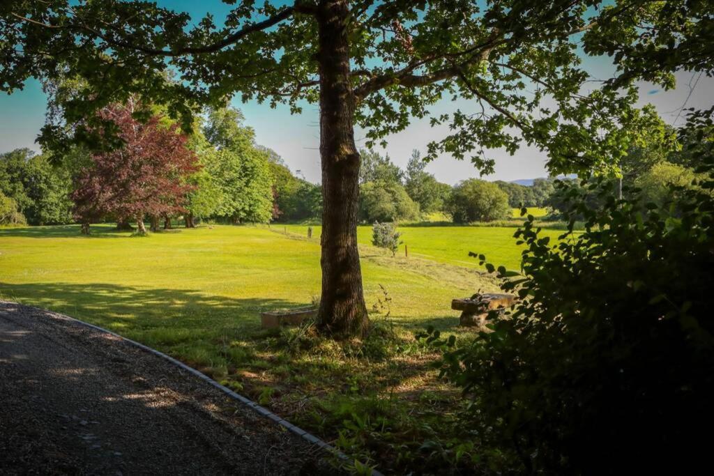5* Self Catering Villa Nenagh Exterior photo
